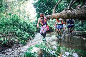 BIB: 
                            <button type="button" onclick="openModal(25446584)" class="btn btn-primary btn-sm float-right btn-popup" data-toggle="modal" data-target=".modal-high-quality">
                        <i class="fas fa-shopping-cart"></i> Add to Cart
                    </button>
                                            <button type="button" onclick="isThisMe(25446584, true)" class="btn btn-success btn-sm float-right btn-popup btn-isme hidden" data-toggle="tooltip" data-placement="bottom" title="นี่คือรูปของคุณใช่ไหม คลิกที่นี่เพื่อเอาเข้าอัลบั้ม">
                        <i class="fas fa-plus"></i> Add to album
                    </button>
                    <button type="button" onclick="isThisMe(25446584, false)" class="btn btn-warning btn-sm float-right btn-popup btn-isnotme hidden">
                        <i class="fas fa-ban"></i> Remove from album
                    </button>